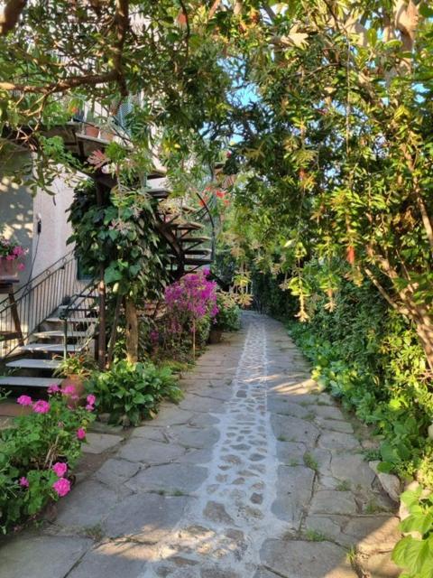 Casa Cambini Bed & Breakfast Marina di Massa Luaran gambar