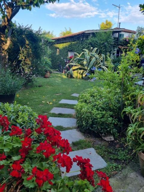 Casa Cambini Bed & Breakfast Marina di Massa Luaran gambar